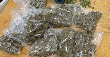 של"צ לנאשם שהחזיק חצי ק"ג קנאביס: "שיקום הוא אינטרס של החברה כולה"