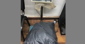 צעיר מקרית גת נעצר עם 1.3 ק"ג קנאביס באוטובוס בכניסה לאילת