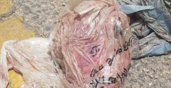 אישום: סטודנטים מאום אל פאחם זרקו ראש כבש על ביתו של מנהל המכללה בסכנין