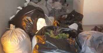 270 ק"ג מריחואנה אותרו במעבדת הידרו בהרצליה