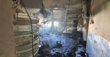 גבעת שמואל: הוזעקו לשריפה וחשפו מעבדת "הידרו" עם מאות שתילי סם