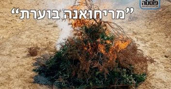 פוסטה TV: לוחמי משמר הגבול תפסו והשמידו 7,700 שתילי מריחואנה