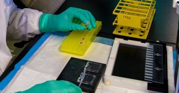 חשד: פרץ למתחם ספורט מוטורי וגנב חליפות רכיבה וקסדות בשווי 150 אלף שקל