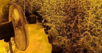 תושב קרית אתא נעצר בחשד לגידול 20 ק"ג קנאביס במעבדת הידרו