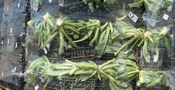 חקלאי פלסטיני ניסה להבריח לישראל כ-400 טון פירות וירקות שנפסלו לשיווק