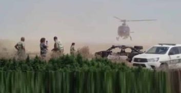 פוסטה TV: מיזם הרחפן הירוק והמלחמה האבודה של המשטרה בקנאביס