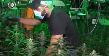 פוסטה TV: המשטרה חשפה רשת מעבדות קנאביס ועצרה 14 חשודים