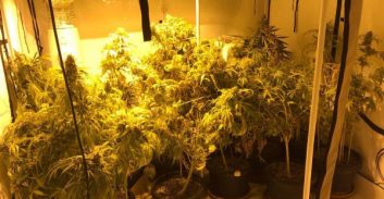 ארבעה חשודים בהפעלת רשת מעבדות הידרו באשקלון