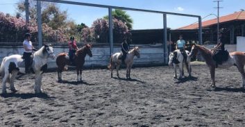 עתירה: לבטל את תוצאות המכרז להפעלת חוות הסוסים ברמת גן