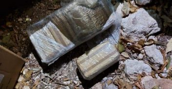 חיפה: המשטרה חשפה מצבור סמים בשווי 2.5 מיליון שקל