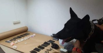 מאות כדורי אקסטזי ומעל שלושה ק"ג חשיש נתפסו בחברון