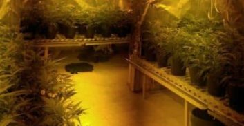 נתניה: קצין קומנדו במילואים נעצר בחשד להפעלת מעבדת הידרו