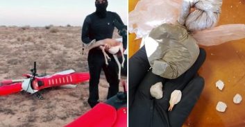 סרטון טיקטוק של ציד לא חוקי הוביל לחשיפת מעבדת הרואין בפזורה הבדואית