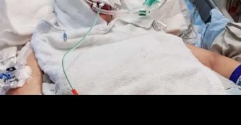 עכשיו כולם יודעים: מכות במערוך, 16 דקירות בראש ובפנים, וקריאות "תמותי כבר"