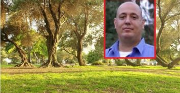 היערן הראשי במשרד החקלאות מתנגד לתוכנית כריתת העצים בגן הכובשים