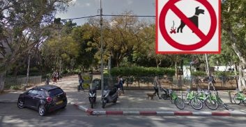 זיכוי לתושבת תל אביב שנקנסה בטענה שלא אספה גללי צואה של כלבה