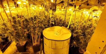 שני חשודים בגידול 128 ק"ג קנאביס בדירה בדרום תל אביב