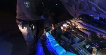 פוסטה TV: הכלב "אפולו" איתר שישה ק"ג חשיש מתחת למכסה המנוע