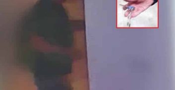 פוסטה TV: צפו בפעילות של "כנופיית המפתחות המותאמים"