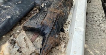 כאבול: המשטרה תפסה כלי נשק במסגרת פשיטה שנערכה בכפר