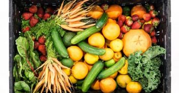 יבואן ירקות קפואים מפרדסיה נקנס על קומבינת דיווחים שהטעתה את המכס