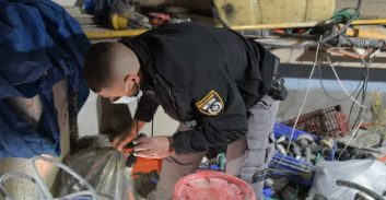 25 ה"קורבנות" של הסוכן ג"קה הרוסי