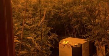 109 ק"ג קנאביס במעבדה ביתית בראשון לציון