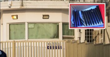 המהפך של מגדל המריחואנה שנתפס עם מאות אקדחי עט