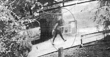 עבודות שירות לפורץ שעקר כספת וגנב יותר מחצי מיליון שקל