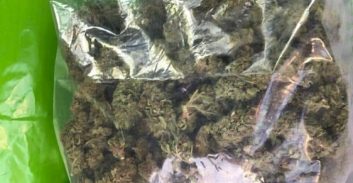 262 גרם קנאביס ו-43 גרם חשיש שווים הרשעה?