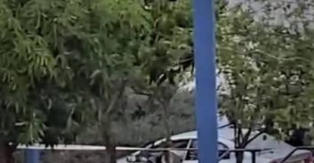 שני מוכרים למשטרה נעצרו בחשד לניסיון רצח בשדרות