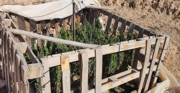 המשטרה תפסה והשמידה סמים במשקל של כ-204 ק"ג ב-13 מוקדים בדרום