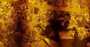 קרית אתא: שוטרים הגיעו לטפל באירוע אלימות וחשפו מעבדת הידרו