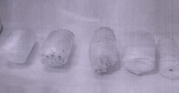 מאמסטרדם דרך טורקיה עם חמישה זרגי קוקאין בתוך הגוף