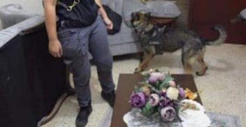 צו חיפוש הוצא לבית, הכלב המשטרתי מצא את הסמים ברכב