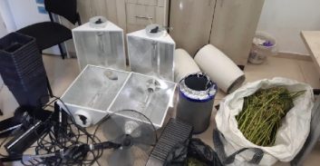 רחובות: אב ובנו נעצרו בחשד לגידול 40 שתילי קנאביס בדירה