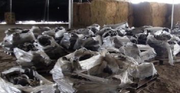 ההסדר של סוחרי ברזל ישראלים שהואשמו בסיוע לחמאס