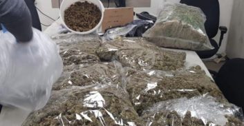 קילוגרמים מריחואנה ארוזים נתפסו בחממה במושב בשרון