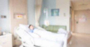 הדרך מהחזקת סמים באיכילוב ללימודי וטרינריה באיטליה