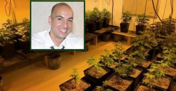 הדוקר הקטלני מ"תיק הכלבים" בחוף הכרמל נאשם בגידול קנאביס