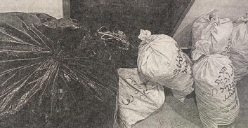 בימ"ש העליון: "הכלל הוא שיש לשחרר נאשם בעבירות קנאביס לחלופת מעצר"