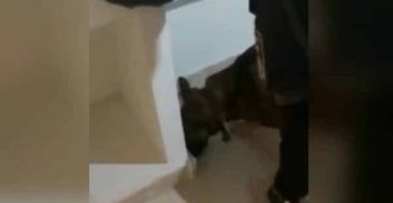 קילוגרם וחצי קוקאין ואמל"ח בשתי דירות – טייבה וכפר קאסם