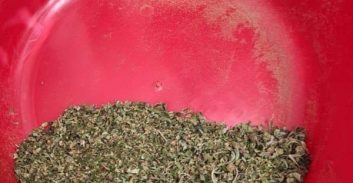 סוכנים סמויים הפלילו עשרות סוחרי סמים במרחב לכיש