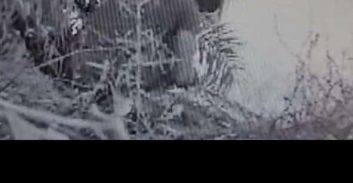 פוסטה TV: הרשעה בתיק מצלמות והקלטות של ימ"ר ת"א בתוך זולה עם 2.6 ק"ג קוקאין