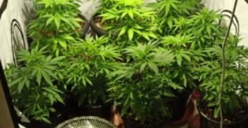 סירוב התביעה לחשוף ראיה חסויה הוביל להסדר בתיק מעבדת הידרו