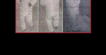 הותר לפרסום: של"צ למורשע בהצתת משרד עורך דין