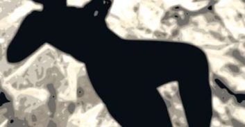 המוקדן: מאסר על פרסום סרטונים אינטימיים של 187 נשים ישראליות