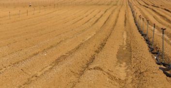 עורך דין חשוד בהונאה של מכירת קרקעות חקלאיות בדרום