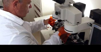 מדע פורנזי למתקדמים: זיכוי למרות טביעות אצבע על תת-מקלע "קרלו"