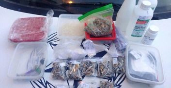 סטודנט למדעי המוח נעצר בחשד לגידול פטריות הזיה